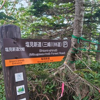 先日Gawaさんが行ってた三峰川林道
今日はとても冒険出来ません😅
