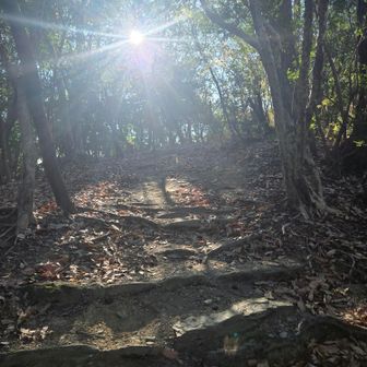 ちょっと心折れたので折り返しかけたところ。