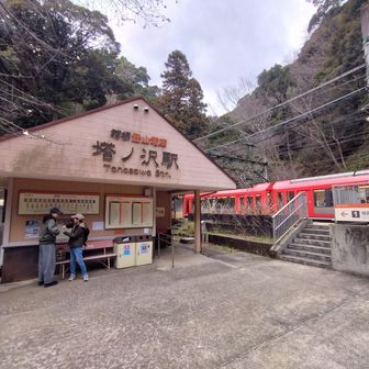 塔ノ沢駅、次のランドマークは駅のホームの中に