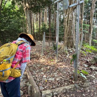 ペコリ　宮地嶽古宮　　