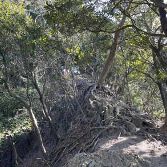 せまい尾根道
侮るな房総の山