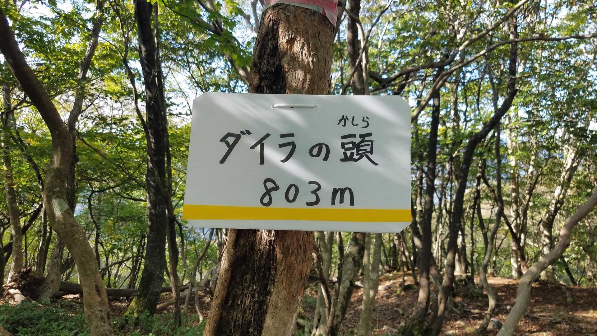 ここまで登り返しの連続