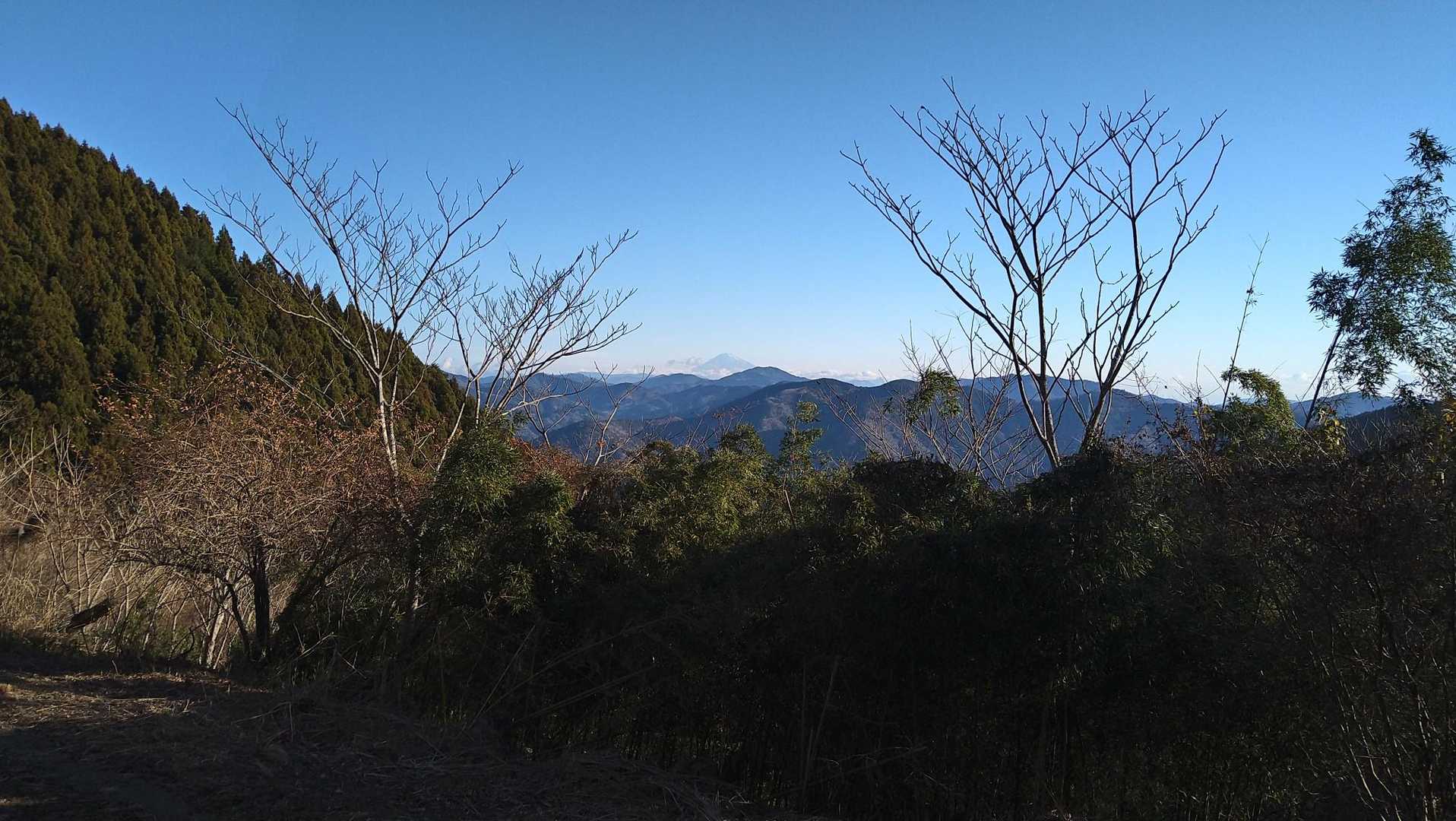 ちょっと上がったところから🗻