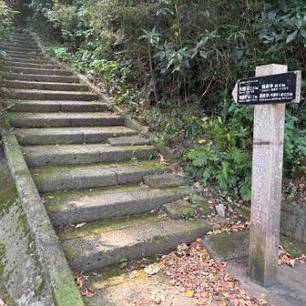 八幡宮を目指した