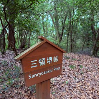 ここを奥に進むと七曲峠経由で蛤岳、脊振山ですね。
長丁場の縦走だけど歩いてみたいです。
