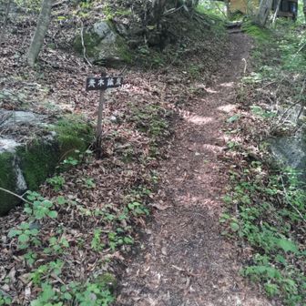 ここを登れば青木鉱泉の裏に出ます。渡渉さえできれば、20分程度の短縮になります
