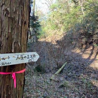 いよいよです。