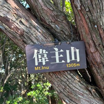 偉主山