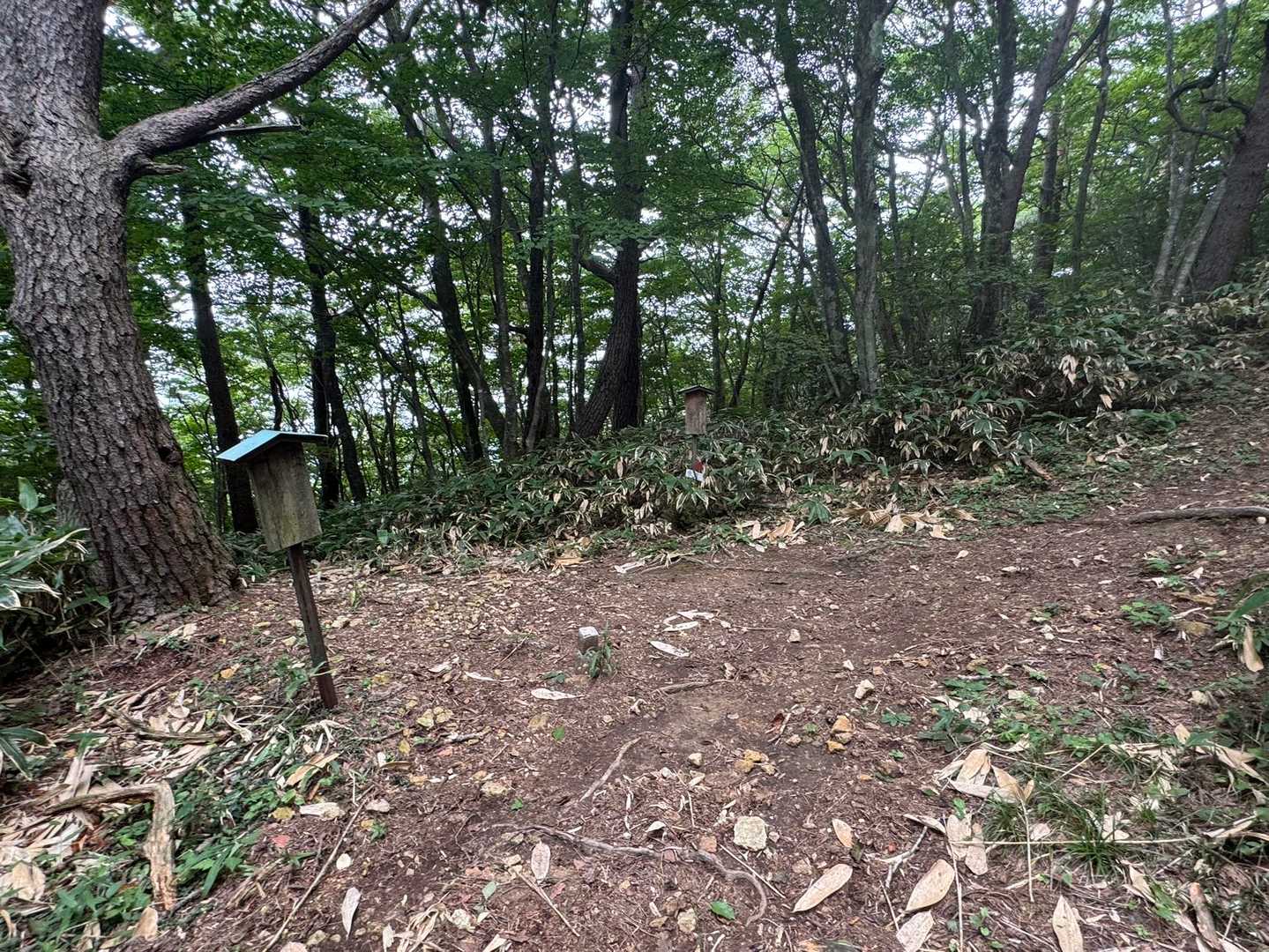 ここは妙見山からの登山道分岐点