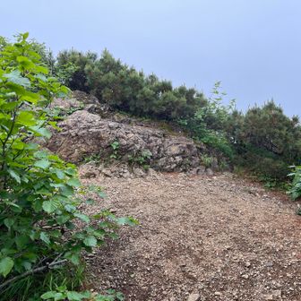 雲峰山休憩所🍵