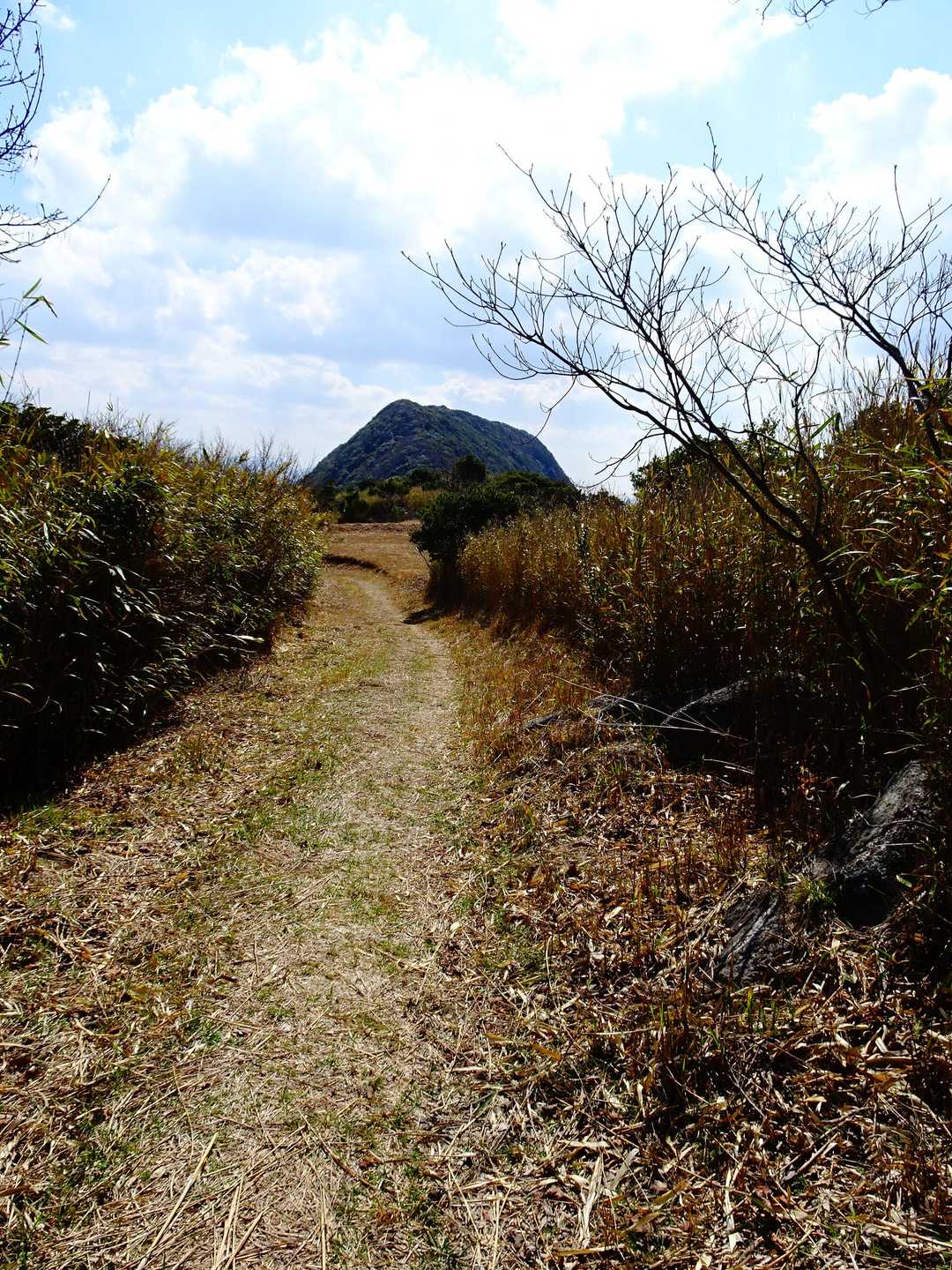 縦走路は穏やか道。
岩登りも最高やが、頭を空にしてボサッと歩けるこんな道も好きだよ。