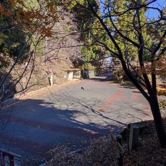 定峰峠まで来ました