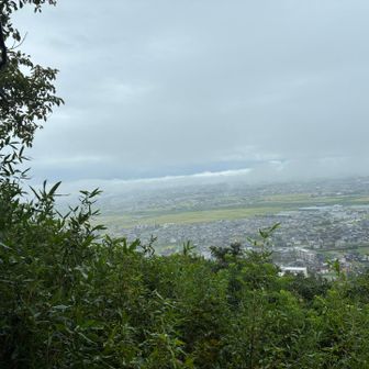 白鳥城跡から富山市街地
