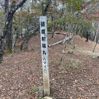 ハマイバは漢字なんだ？！