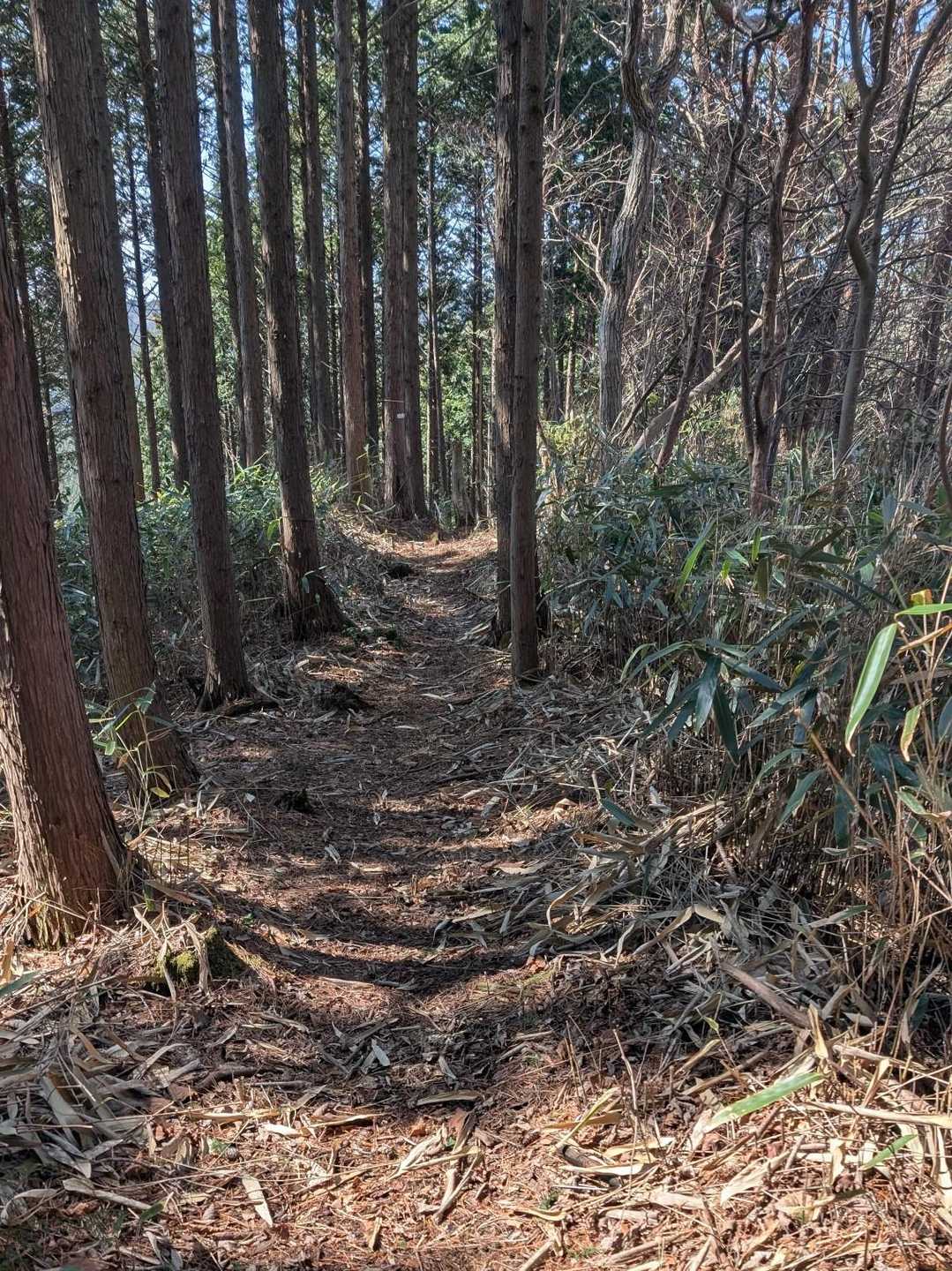 登山道整備、ありがとうございます！