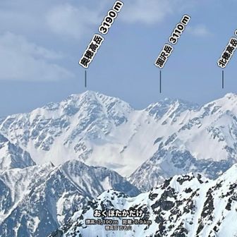 迫力がすごい😲