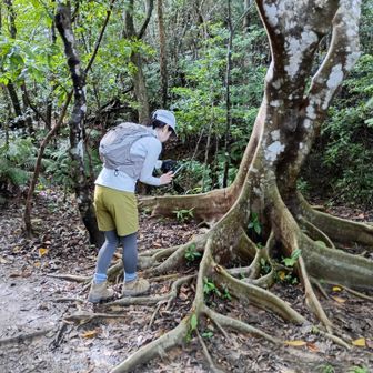 板根(ばんこん)📷️