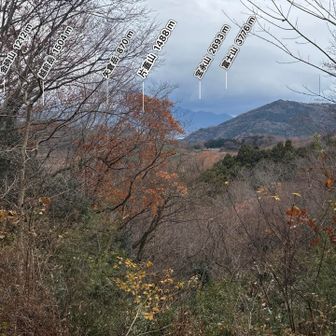 このように見えるようです。