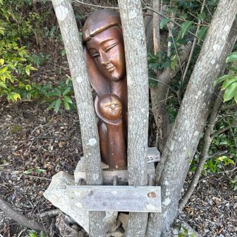 はい♪ひょっこりはん。