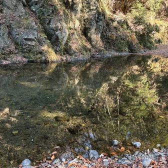 水が綺麗です✨