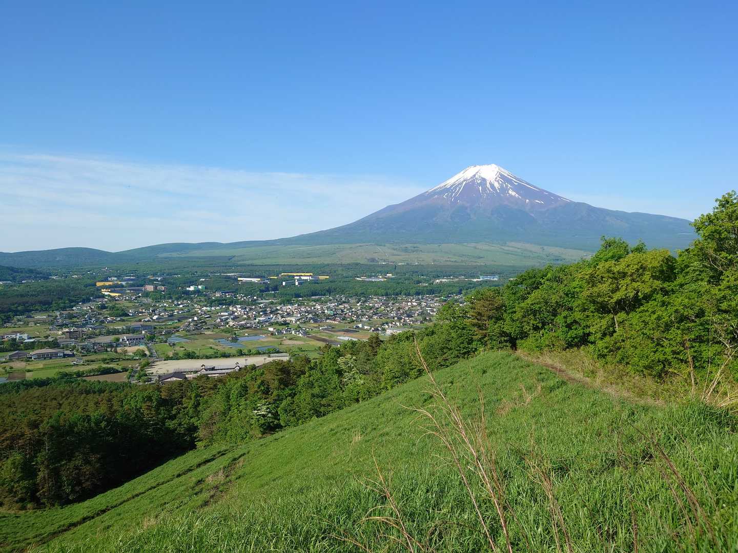 青と富士と緑がいい感じ