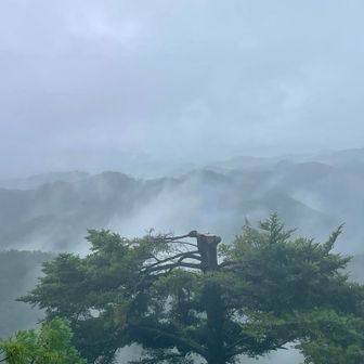 少しだけ山並みが見れた😊