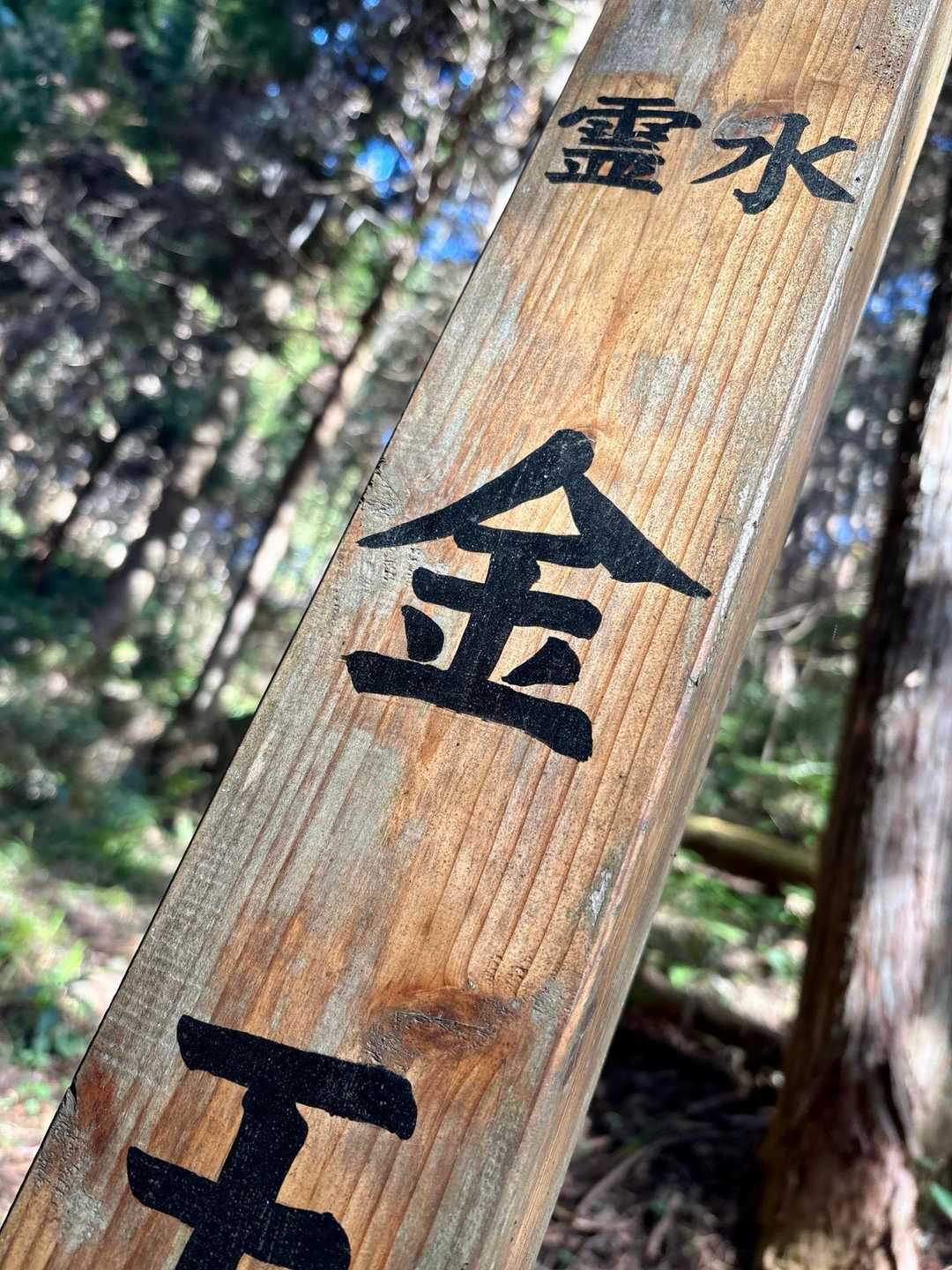 そして いよいよ 
本日の メインステージ✨

ドゥル ドゥル ドゥルルルルぅ...
🥁ドラムロール...