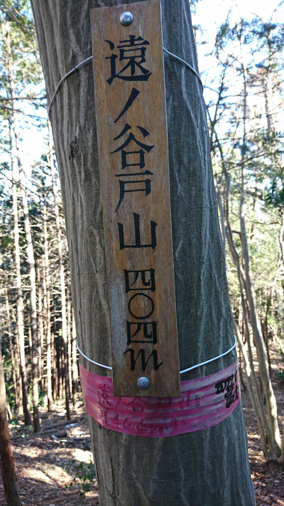 遠ノ谷戸山▲山頂