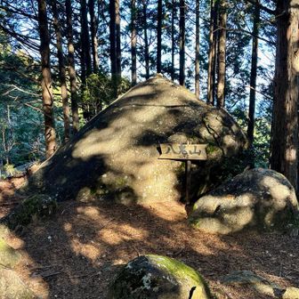 見逃してしまいそうです。
八鬼山　647 m