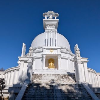 これが噂のヤツですね