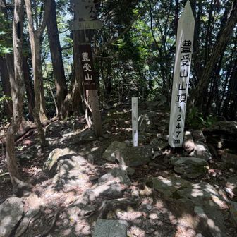 気を抜いたら滑落の恐れもあるアドベンチャーな道のりだった