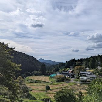 下山途中⋯舗装路歩きでの景色