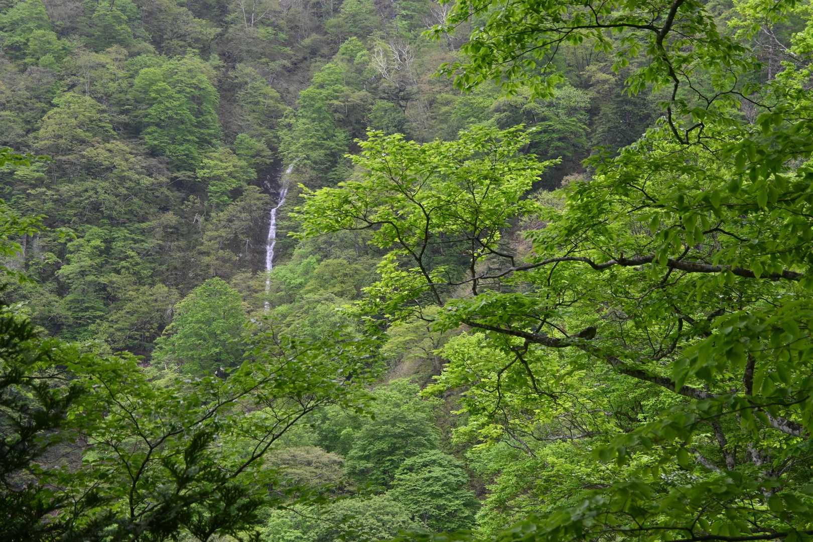 向かい側の滝