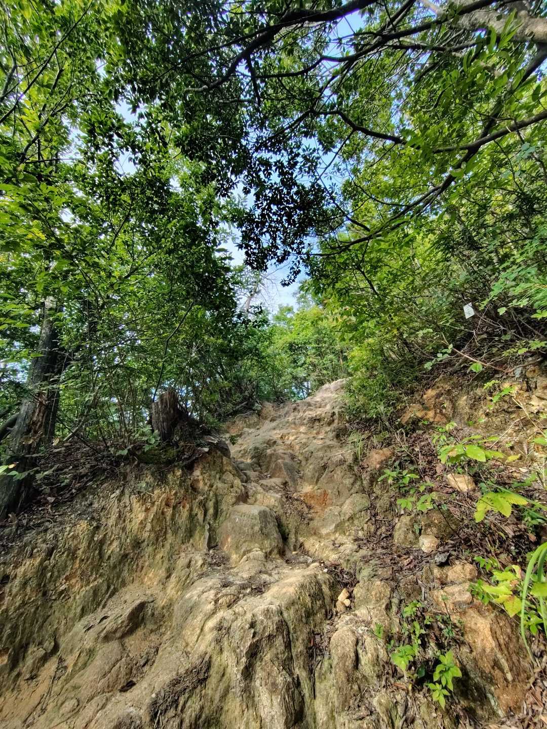鬼ヶ岳 周回コースの写真