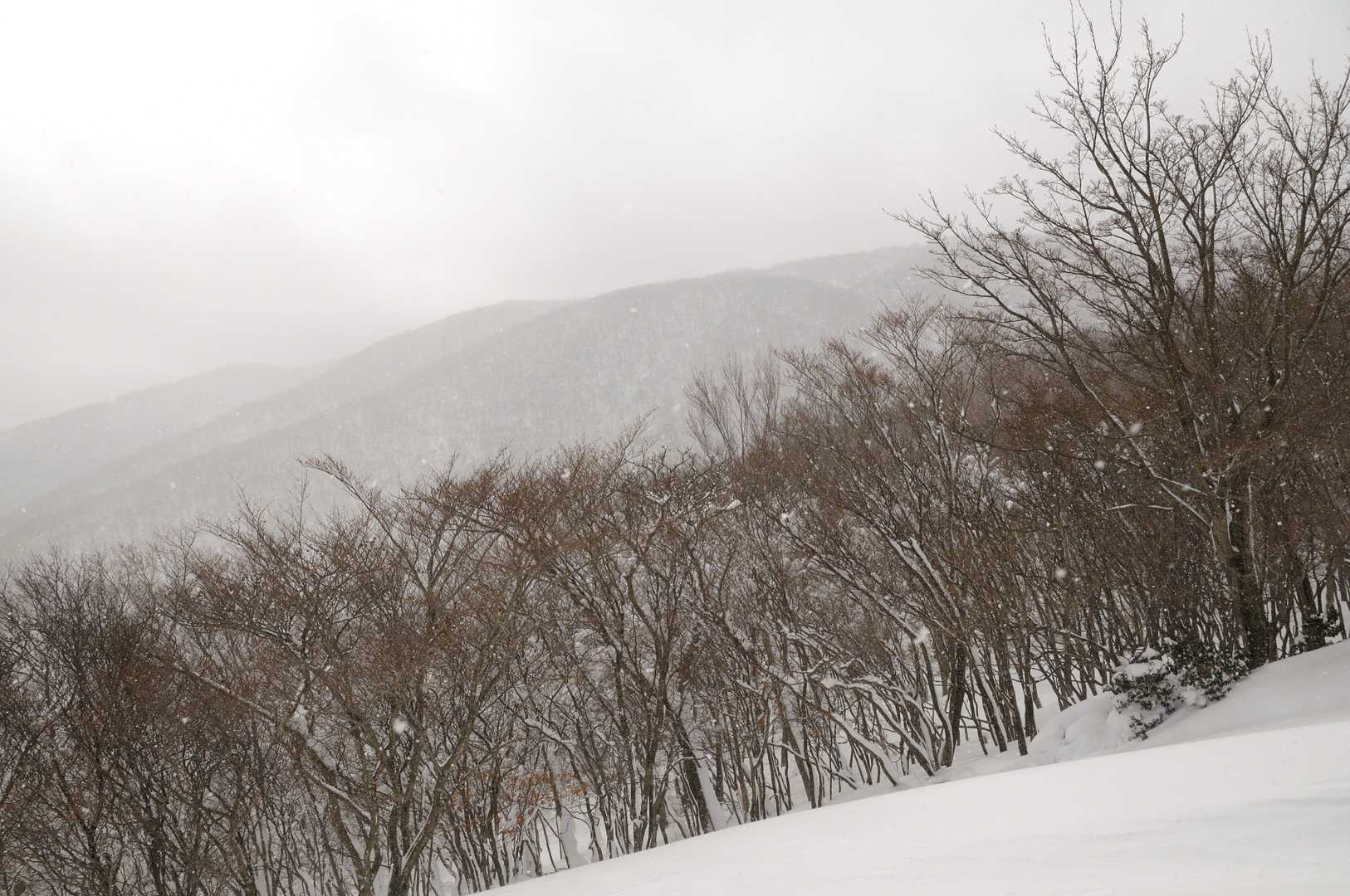 天気は回復しない。下山して正解だったかな？