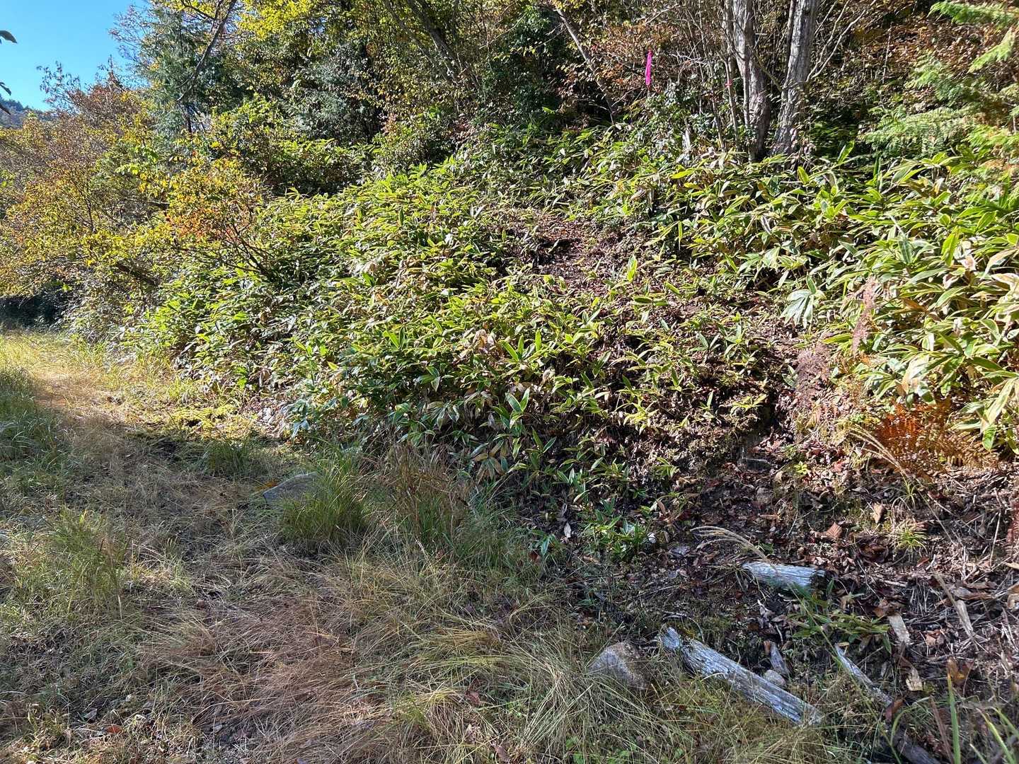 大狩山 周回コースの写真