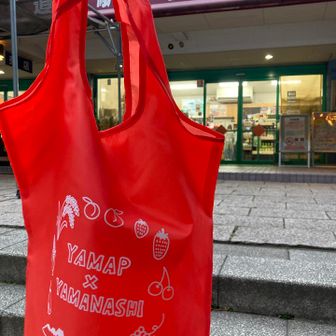 エコバッグゲッド（道の駅甲斐大和）