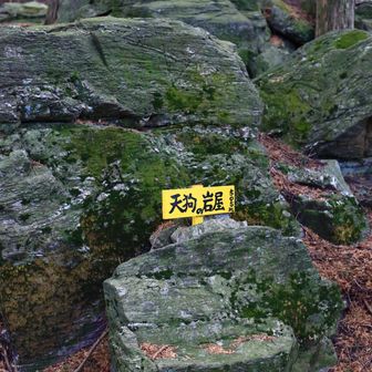 さすがにこれ一座に入らんよね👀