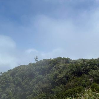 振り返って山頂