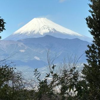 富士山を見ながらパンとコーヒーのお昼ごはん
なんて贅沢な時間なんでしょう✨