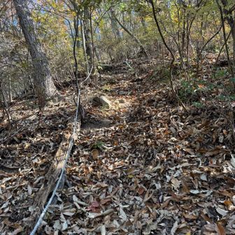 犬返し🐕此処も激坂でした。