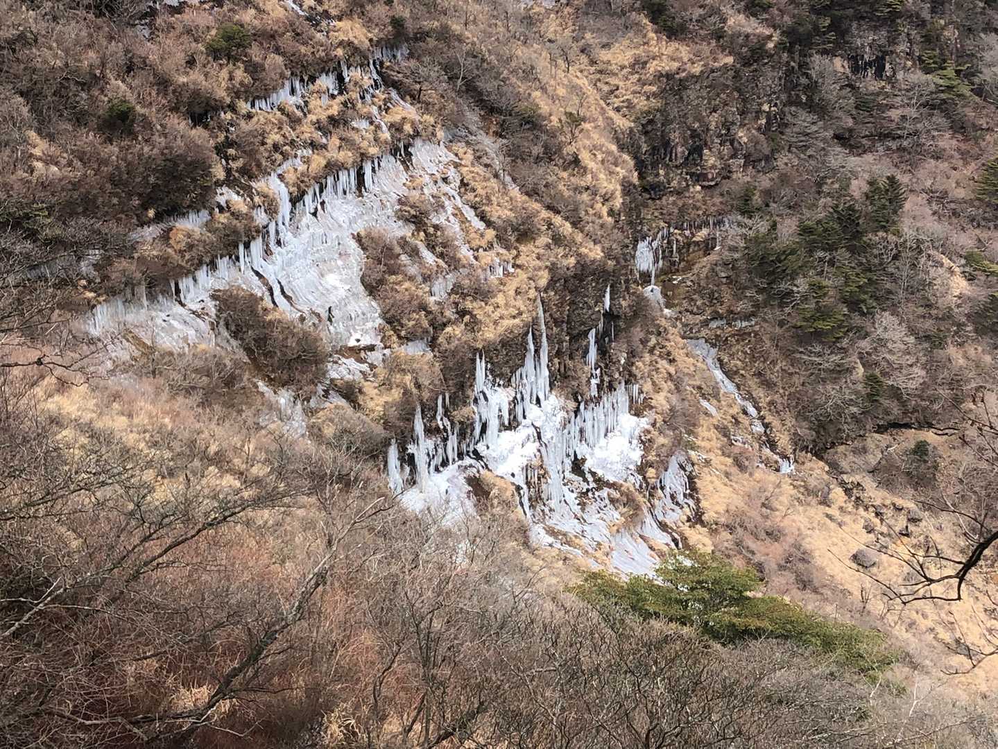 昨年見た時よりも大きな氷瀑です。遠目からでも迫力があります。素晴らしい✨✨
