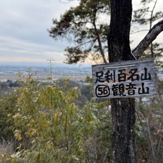 つる山、須永山を経由して本日最後のピーク観音山に登頂！