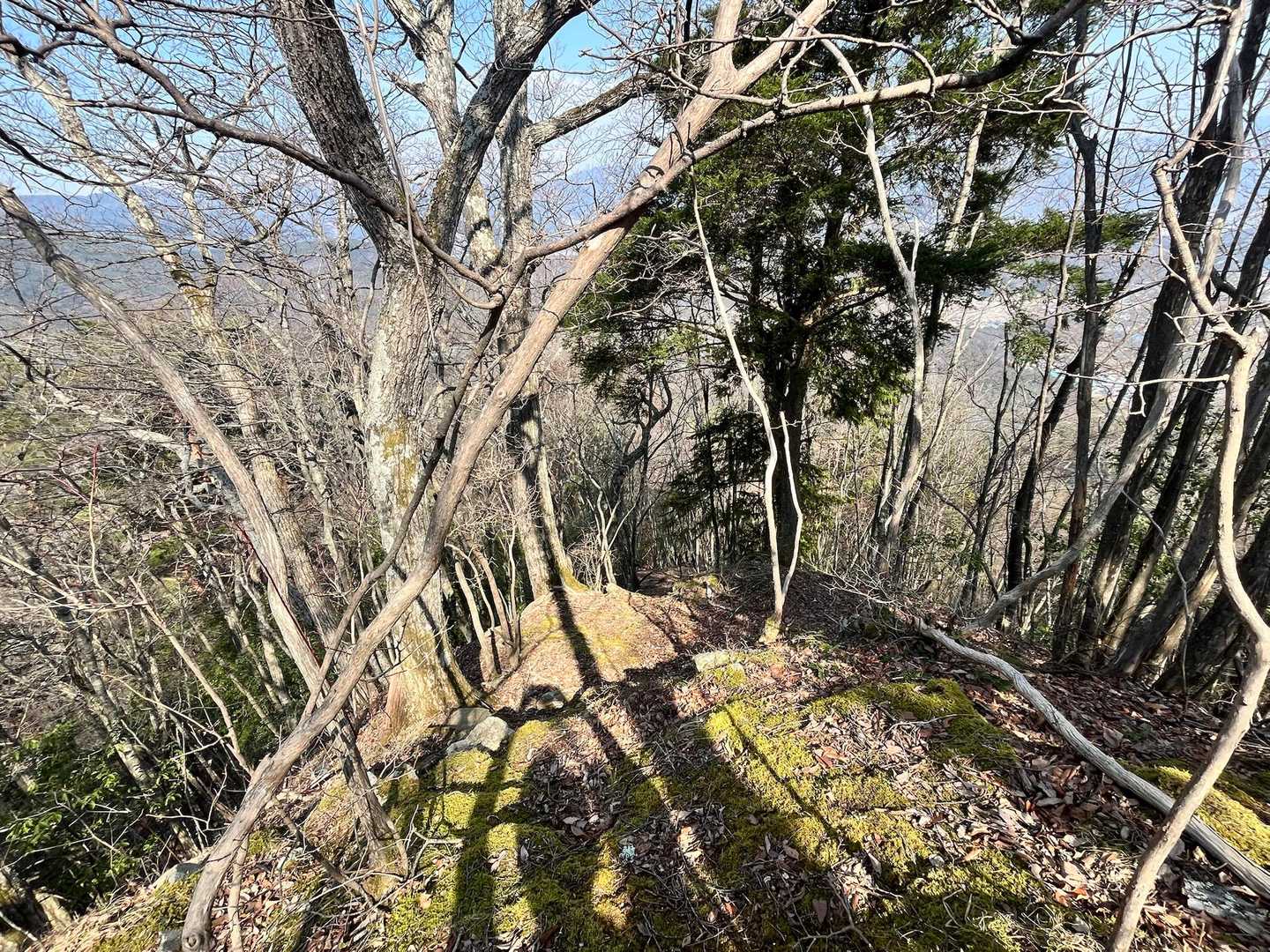 ここから降りると別所温泉へ。行ってみたかったなぁ。ピンテもあるし楽しそう。