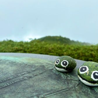 そりゃぁたまにはそういう日もあるんやよ