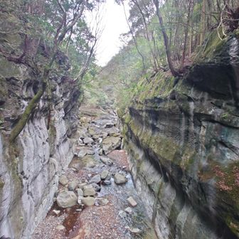 多分コレだと思いますが　看板無いのでわかりません