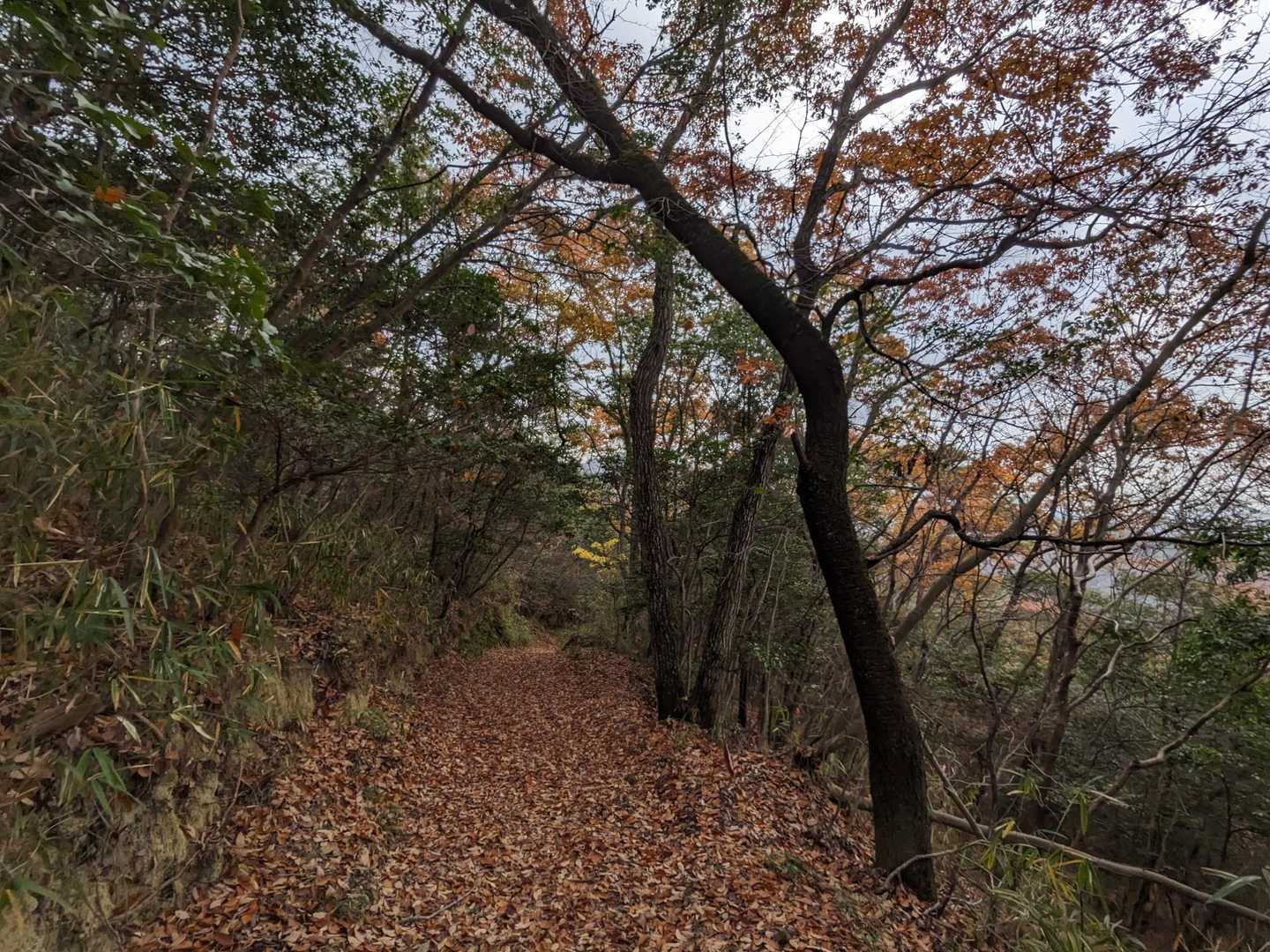 ナイスロード🏃