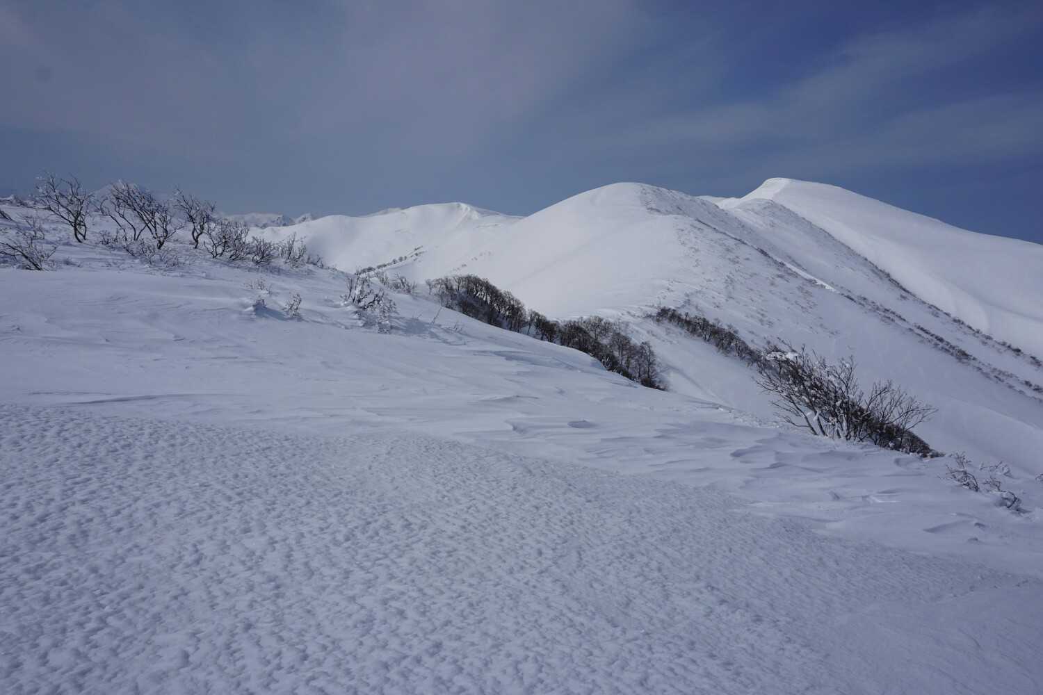 枯松山から1400ピークを望む
