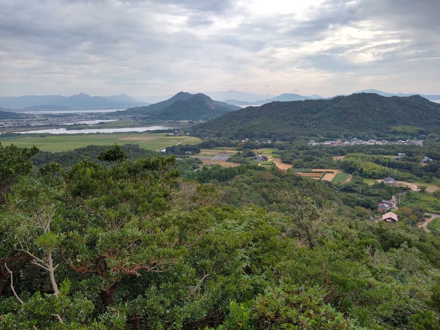 善城寺山-行者嶽 往復コースの写真