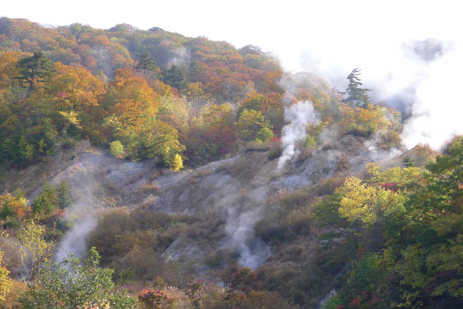 烏帽子岳登山口-烏帽子岳 往復コースの写真
